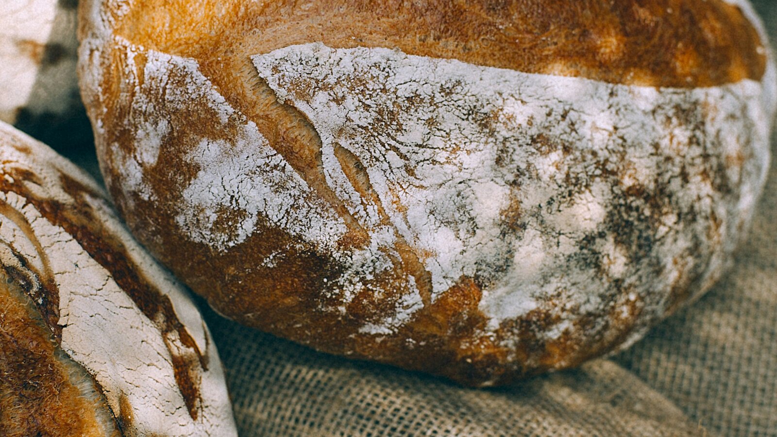 Rustic loaves of bread from Seeds bakery